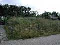 hausbau001.jpg
